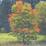 org:/landingpages/winnaars DK NO SE/20e-prize-scandinavie.jpg